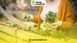 kang renov_Renovasi Penataan Tanaman untuk Tampilan Taman yang Rapi