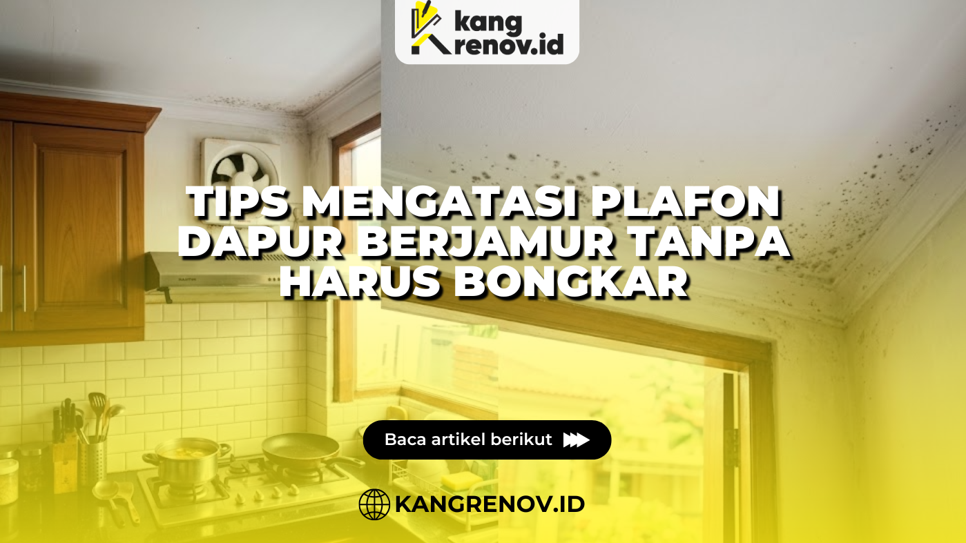 Tips Mengatasi Plafon Dapur Berjamur Tanpa Harus Bongkar